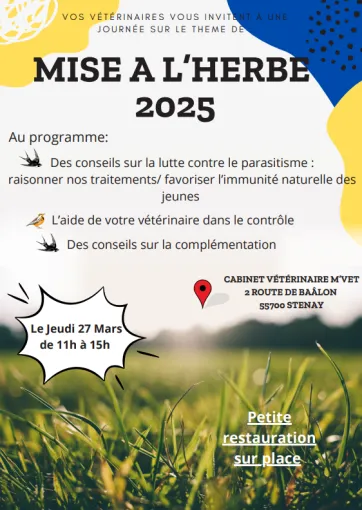 Mise à l'herbe 2025 à Stenay, Stenay, M'VET