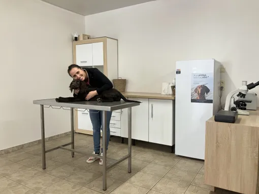 Soins vétérinaires pour chiens et chats à Stenay, Stenay, M'VET