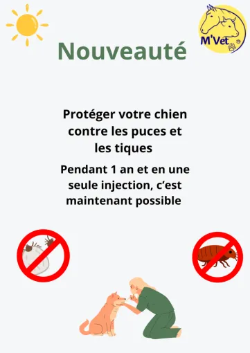 Anti-parasitaire annuel : la solution pratique et efficace !!!, Stenay, M'VET