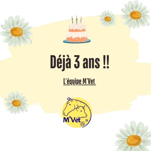 3 ans !!!!, Stenay, M'VET