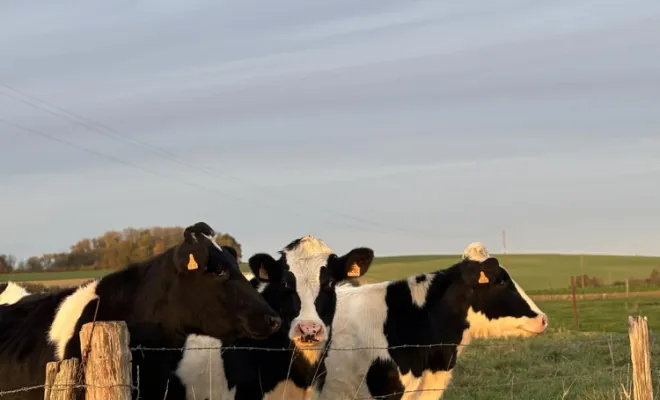 Rural, Stenay, M'VET